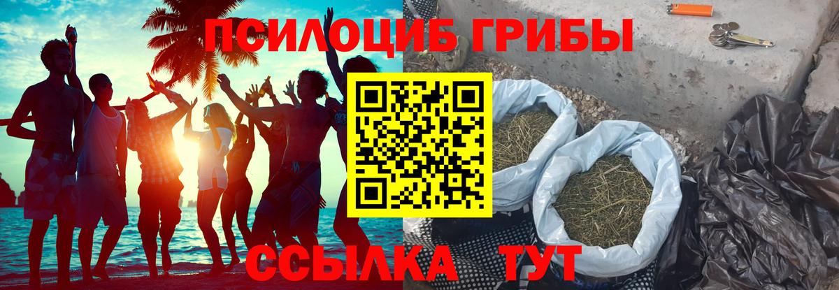 Псилоцибиновые грибы прущие грибы Берёзовский